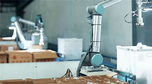 海宁纺织业焕发新活力 华尔科技以智能制造引领未来