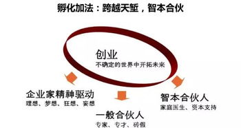 金华科技园创业服务中心 研发与技术咨询的双引擎驱动