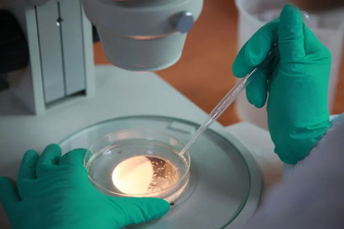 杭州环特生物科技股份